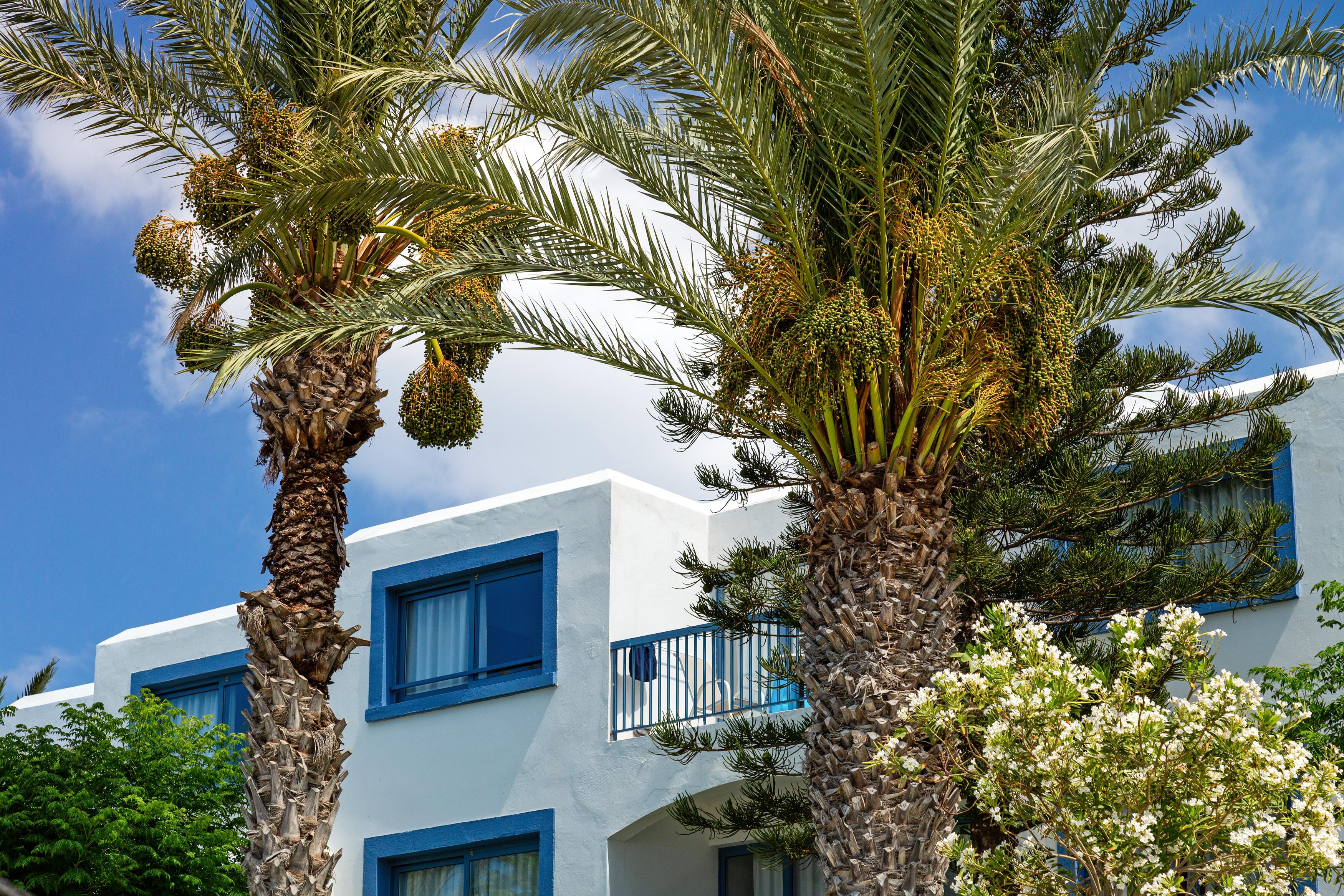 Nausicaa Beach Protaras Exteriér fotografie