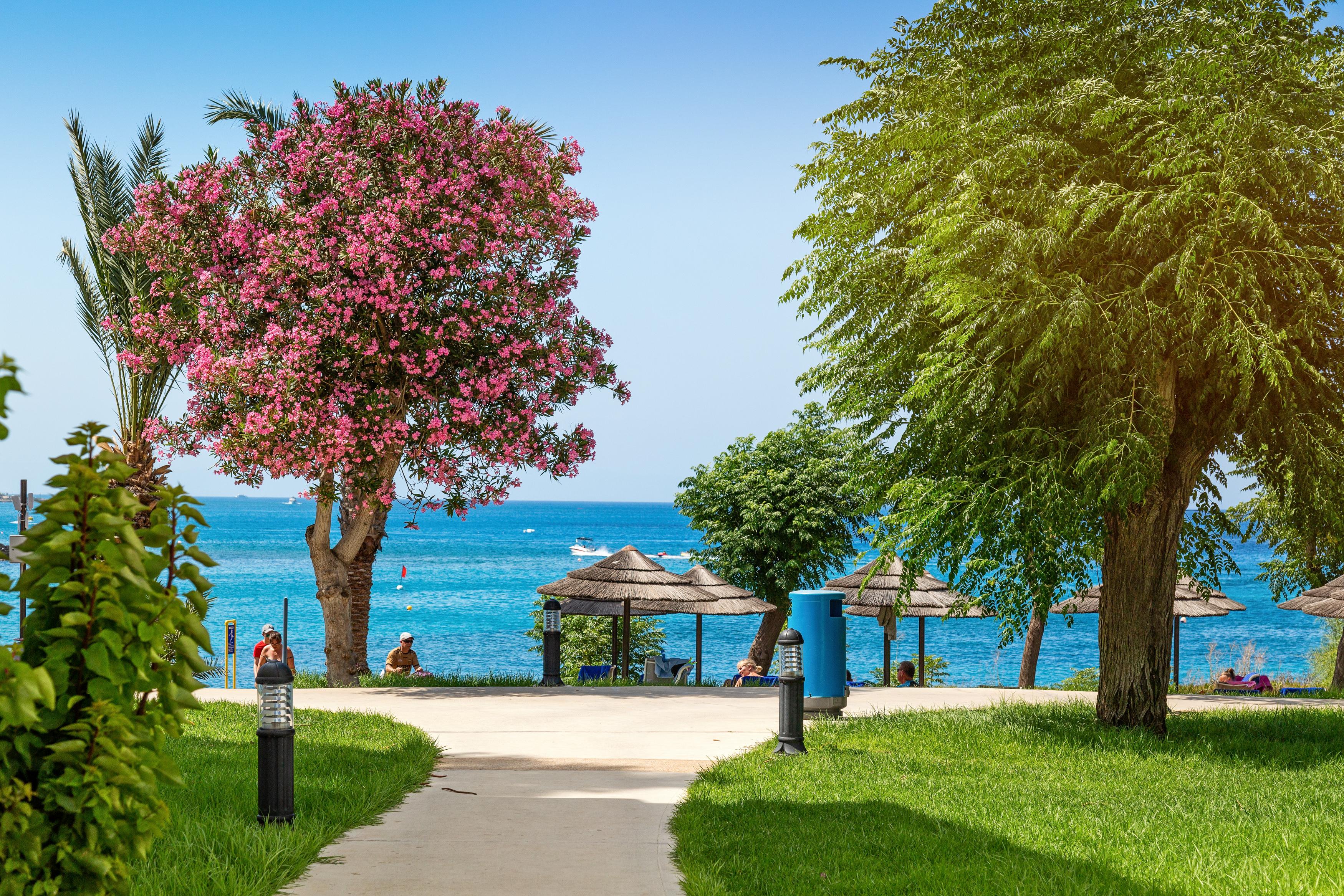 Nausicaa Beach Protaras Exteriér fotografie